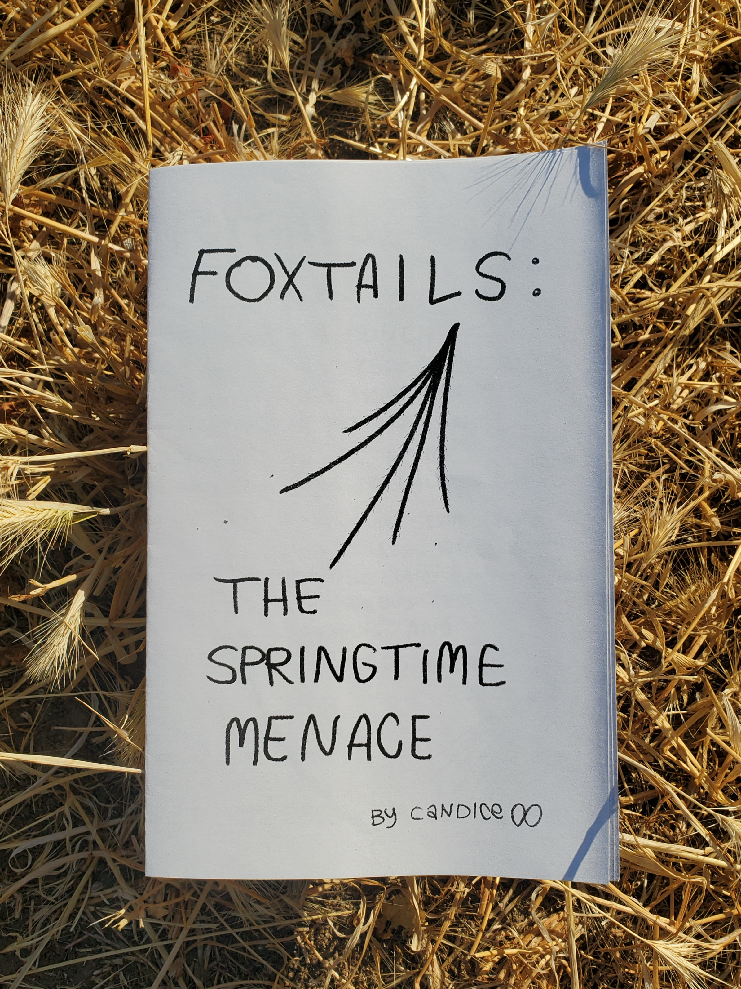 new Foxtails zine!